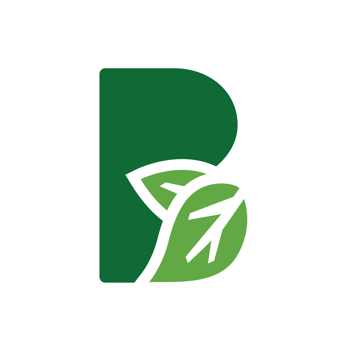 B icon green transparent