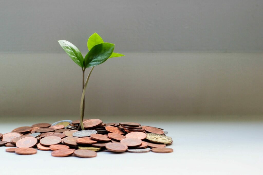 plant growing up out of a pile of change