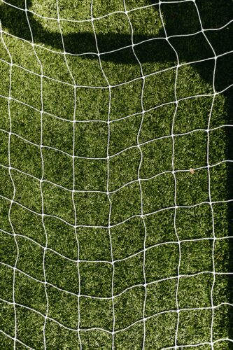 soccer net with grass behind it.
