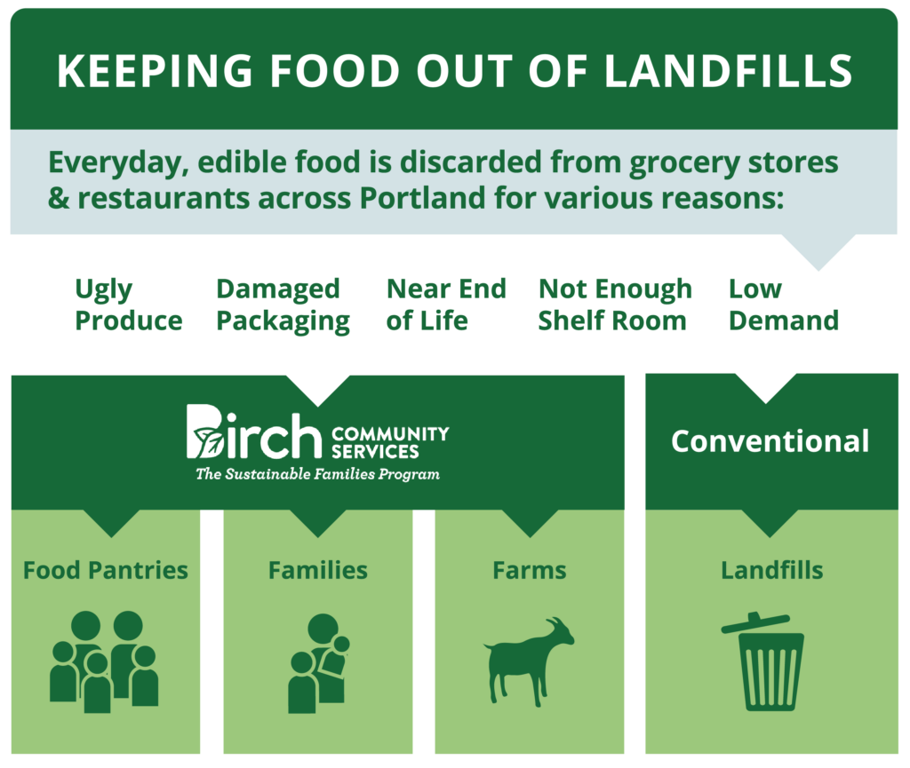 Sustainability Infographics