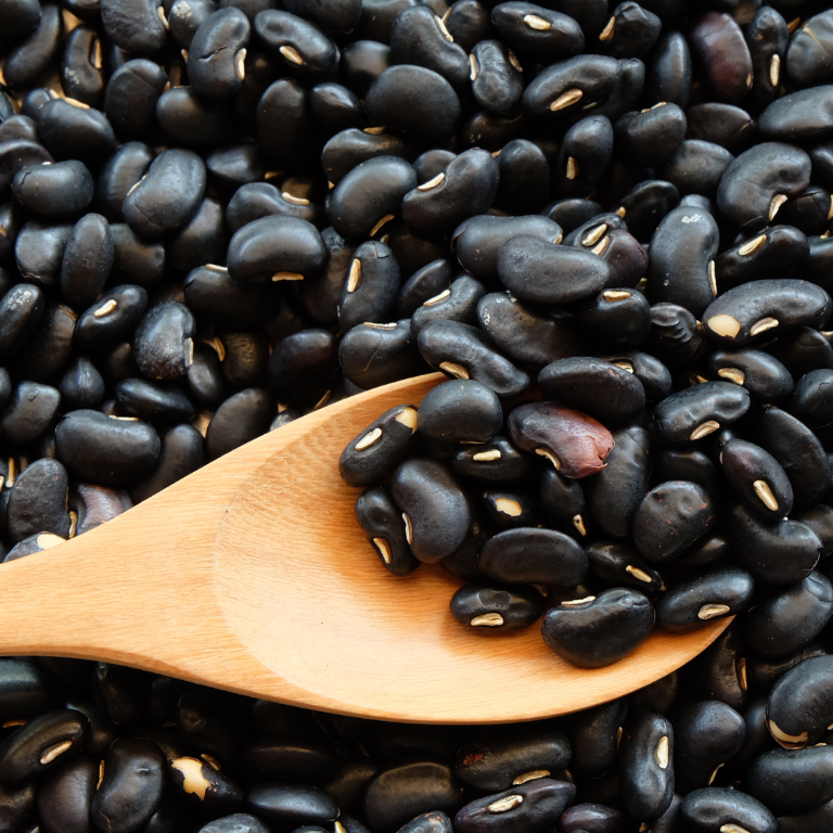 dried black beans and wooden spoon