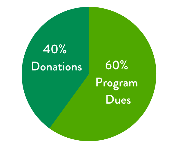 pie chart showing donations and program dues