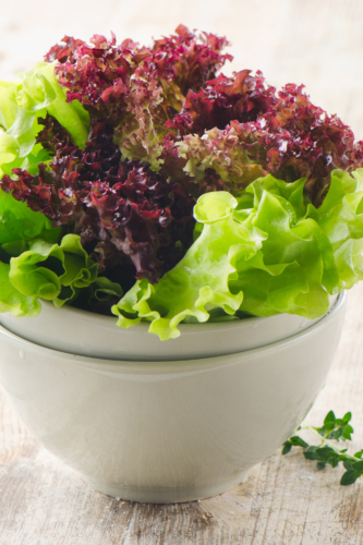 lettuce in bowl