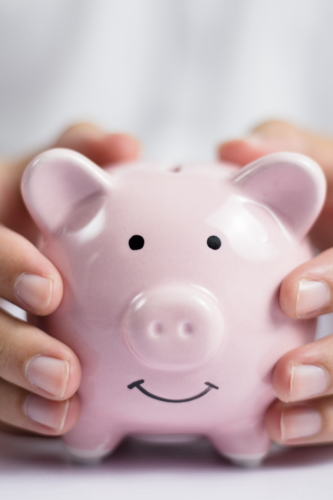 pink piggy bank