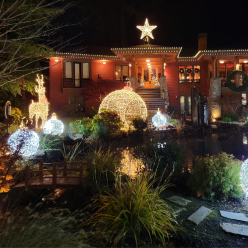 house decorated with Christmas lights and decor